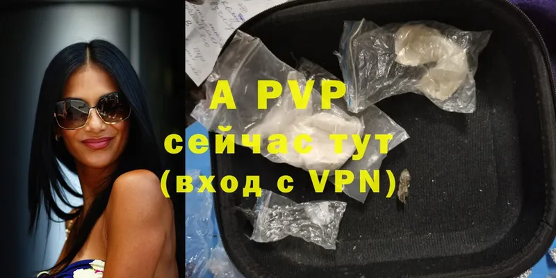 Alfa_PVP СК КРИС  Болотное 